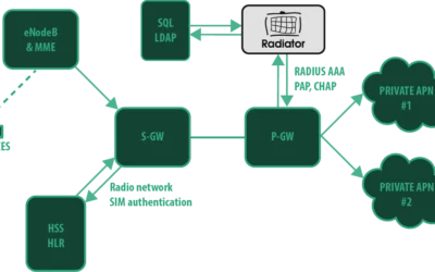 Securing IoT networks with private APN